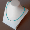 Collar azul con estrella