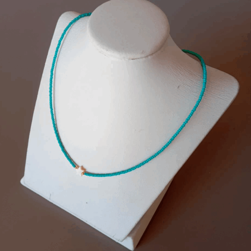 Collar azul con estrella