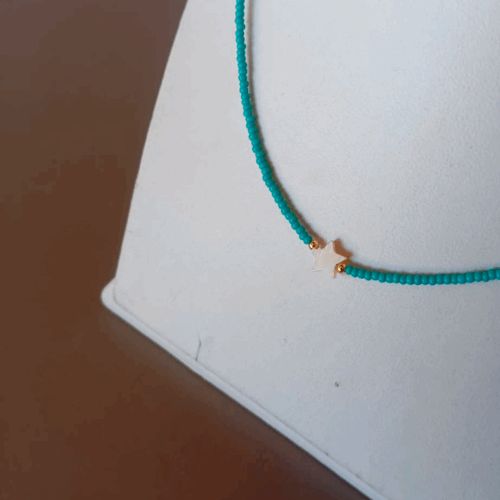 Collar azul con estrella